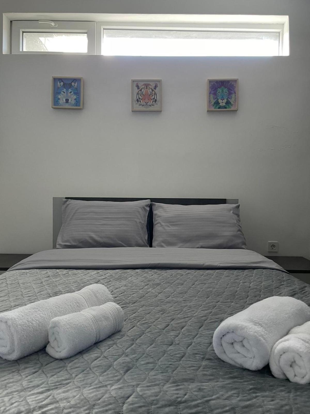 סקופיה City View Apartment מראה חיצוני תמונה